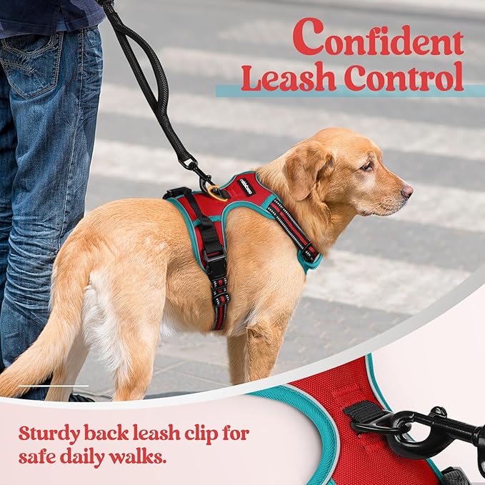 rabbitgoo Dog Harness No Pull with 2 Leash Clips, Adjustable Soft Padded, Reflective Oxford No Choke Pet Vest with Easy Control Handle for Small Dogs, Red & Teal, S