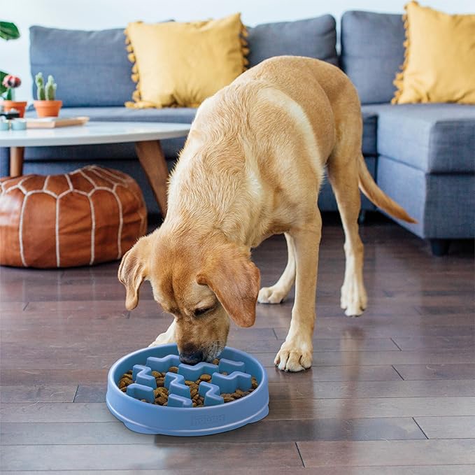 Outward Hound Large Slow Feeder Bowl, Puzzle Maze for Fast Eaters, Medium to Large Dogs, Helps Prevent Bloat & Aid Digestion, Holds 4 Cups Wet or Dry Food, Non-Slip, Made Without BPA, Blue