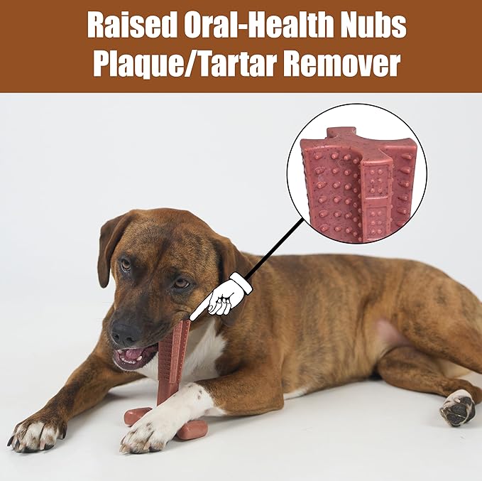 SPOT Bam-Bones Plus T Bone – Bamboo Fiber & Nylon Dog Chew Toy for Moderate to Aggressive Chewers, Durable Long Lasting & Non-Splintering, Beef Flavor Toy for Adult Dogs & Puppies Under 60 lbs, 6 in