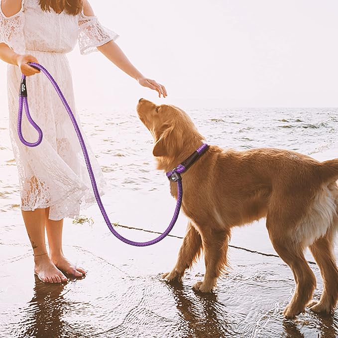 TwoEar Dog Slip Rope Leash - 6FT Heavy Duty Training Leash with Reflective Threads for Small to Large Dogs (Slim(3/8''x6ft), Purple)