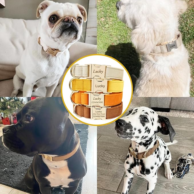 Custom Dog Collar with Name, Optional Leash, Airtag Holder and Bow Tie,Personalized Dog Collars for Small Medium Large Dogs,Cute Collar for Male Female Dogs (Velvet-Series)