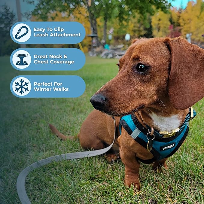 Best Pet Supplies - All Weather Mesh/Plush, Reflective, No Pull Harness for Small, Medium Dogs, Cats - Secure with Hook & Loop Fastener, Buckle, Double D-Rings - Turquoise Plush, XL