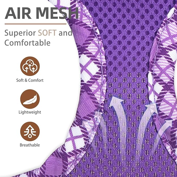 PUPTECK Dog Harness and Leash Set for Small Medium Dogs No Pull Step-in Soft Mesh Puppy Cat Vest Harnesses Reflective at Night, Purple S