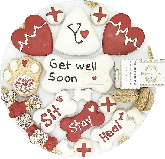 Bonne et Filou Get Well Soon Dog Treats, Gourmet Gift Box, 21 Luxury Macarons, Truffles & Bone Cookies, Healthy & Delicious Snacks for Medium to Large Dogs