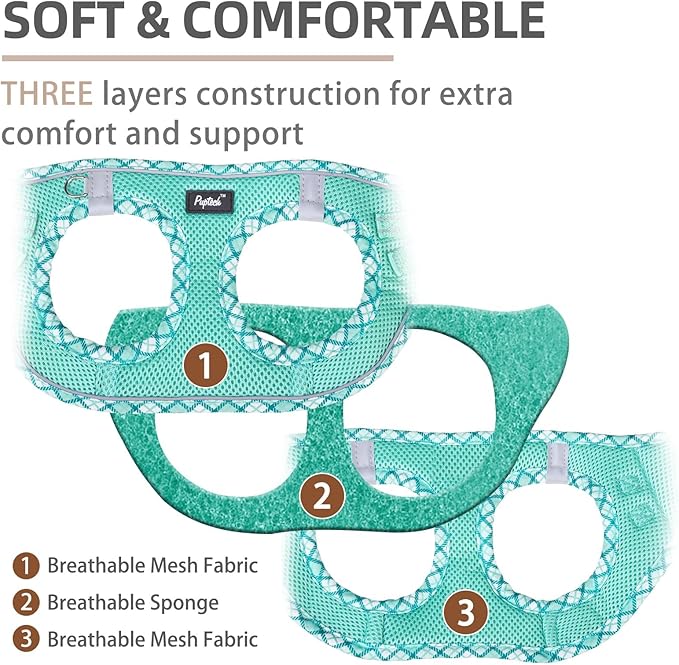 PUPTECK Dog Harness and Leash Set for Small Medium Dogs No Pull Step-in Soft Mesh Puppy Cat Vest Harnesses Reflective at Night, Upgraded New Green XS