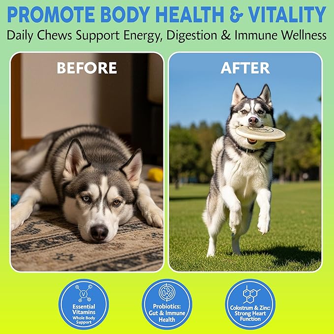 Asher House Wellness Dog Multivitamin Chews - Dog Vitamins and Supplements, Soft Chew for Pet Dogs with Probiotics, Flaxseed, Colostrum - Comprehensive Health Support from Puppy to Senior, 120 Chews