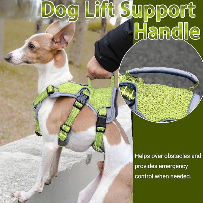 BELPRO Multi-Use Support Dog Harness, Escape Proof No Pull Reflective Adjustable Vest with Durable Handle, Dog Walking Harness for Big/Active Dogs (Green, M)