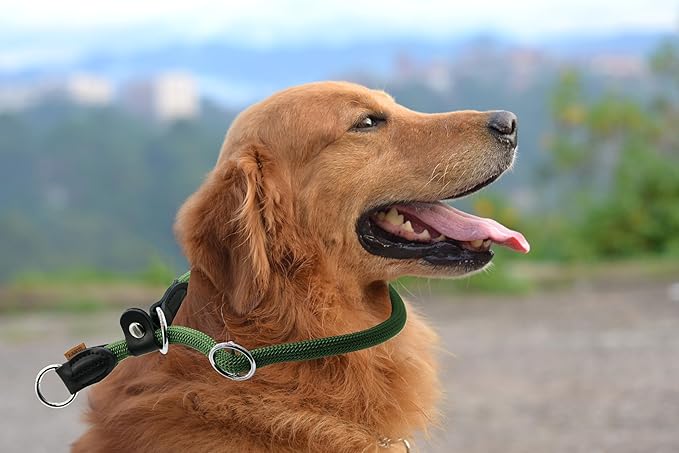 Braided Round Martingale Dog Collar, Training Collar with Slidable Stop Ring and Adjustable Stopper - Ideal for Large Dogs (L(1/2") - 20" Long, Dark Green)