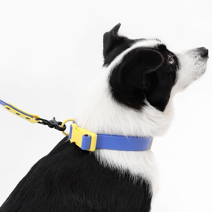 WLK1006C-5SET Luna Large 8FT Adjustable 6-in-1 Waterproof Hands-Free Leash and Collar with LED Flashlight, Bag Dispenser, and Poop Bag Holder, Curaçao