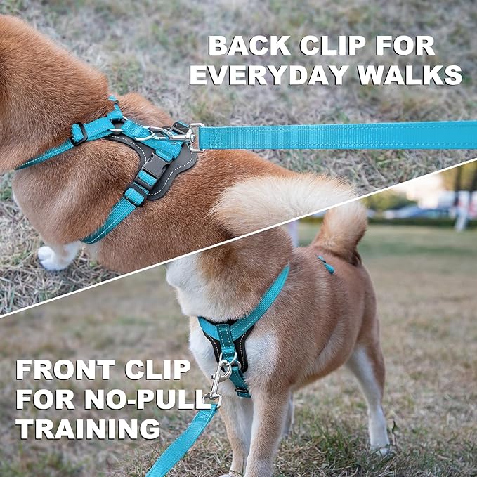 Plutus Pet Adjustable No Pull Dog Harness with Leather Accents, Heavy Duty Reflective Nylon Vest for Training, Hiking, Easy Walk Harness for Small, Medium, Large Dogs (Light Blue, XL)