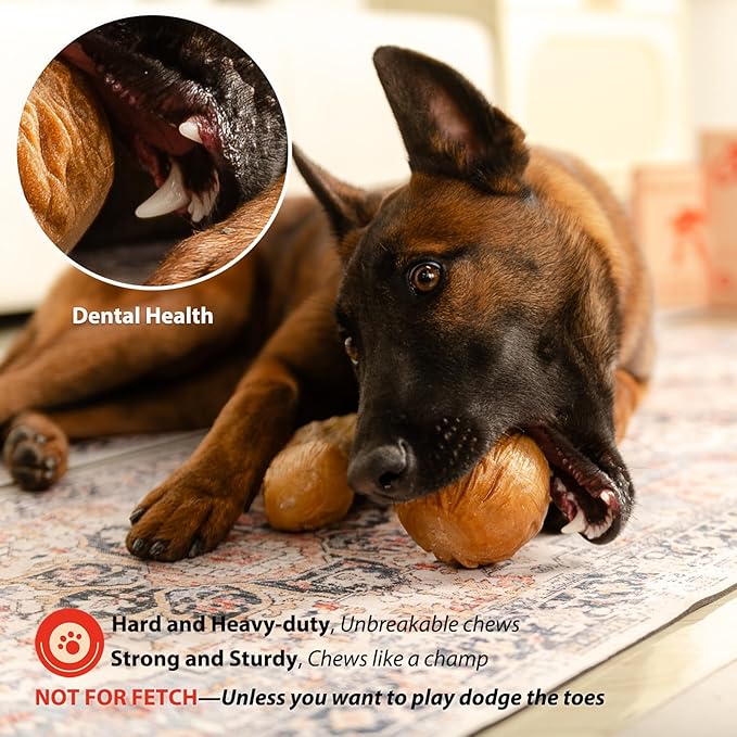 Willjoy 2-Pack Dog Chew Toys for Aggressive Chewers, Indestructible Ball-Shaped Dog Toys with Natural-Looking Grooved Texture, Durable Pine Wood & Tough Nylon, Bacon Flavor for Large Dogs