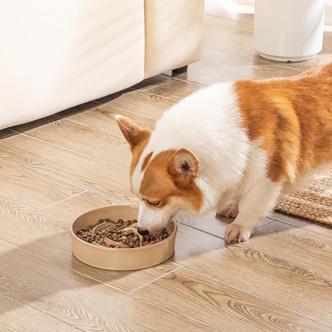 vancasso Slow Feeder Dog Bowl, 1.5 Cups Ceramic Slow Feeder for Medium Breed, Puzzle Maze Dog Food Bowl for Fast Eater, Khaki