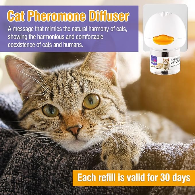 Cat Calming Pheromone Diffuser Reduces Conflict Between Cats Effective Anxiety Relief for Cats & Cat Calming Soothing 48ML 3 Refills Fits All Cats, 3 Packs