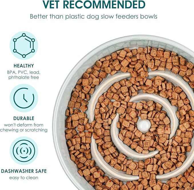 vancasso Slow Feeder Dog Bowl, 0.6 Cups Ceramic Dog Food Dish for Fast Eaters Small Breed, Puzzle Bowl for Small Dogs and Cats, Grayish Cyan