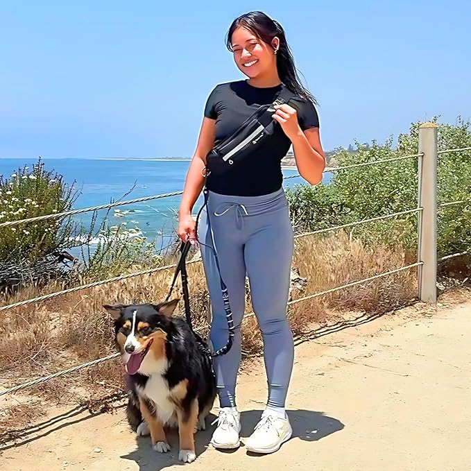 Tails & Tales Hands Free Dog Leash with Lightweight Waist Pouch for Walking Running Hiking, Adjustable Belt 25-45", Dual Padded Handles, Reflective Bungee Design for Small to Large 100lb Dogs (Black)