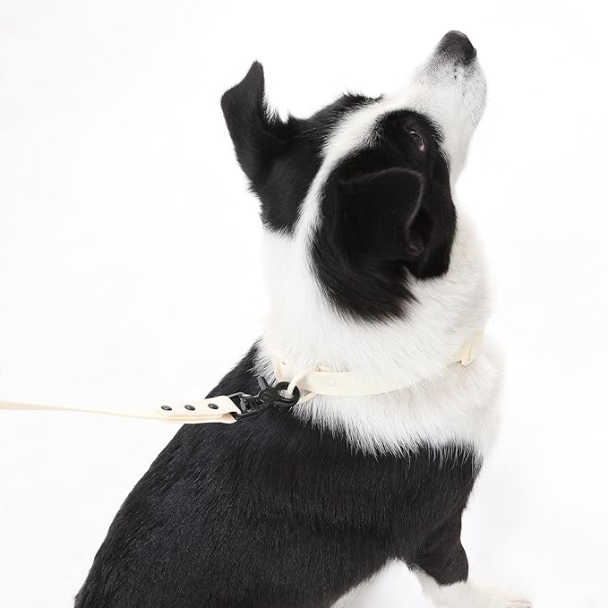 WLK1006L-5SET Luna Large 8FT Adjustable 6-in-1 Waterproof Hands-Free Leash and Collar with LED Flashlight, Bag Dispenser, and Poop Bag Holder, Bailey