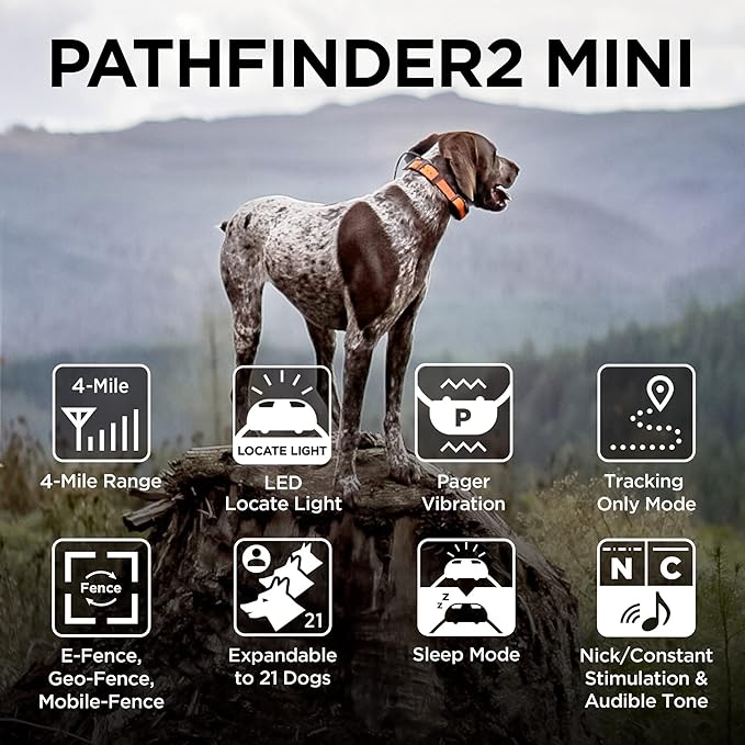 Dogtra Pathfinder2 Mini GPS Tracker e Collar + Add-on Receiver (Green) | 4 Mile, LED Light, Waterproof, Free App, No Fees, Smartwatch Control, Satellite Tracking, Multi Dogs, Smartphone Required