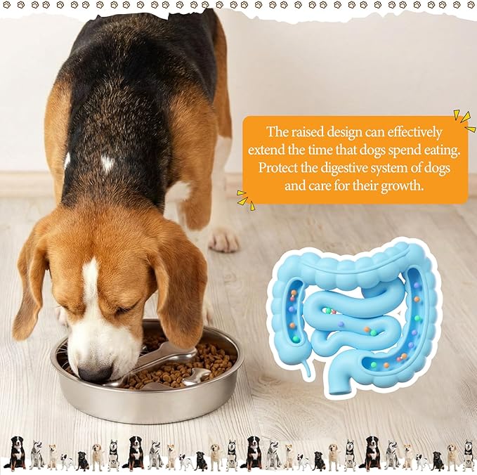 Vesici Slow Feeder Bowls Set 3.2L No Spill Water Bowl and 2 Cups Stainless Steel Dog Slow Feeder Food Bowl Puppy or Cat Food Holder Dishwasher Pet Supplies