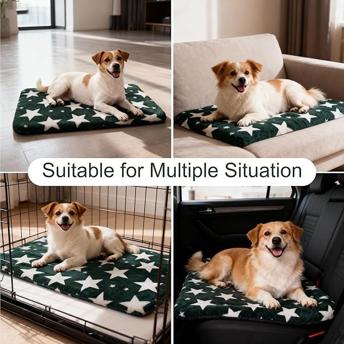 Washable Dog Bed Plush Orthopedic Outdoor Crate Mat with Non-Slip Bottom,Luxe Soft Kennel Pad for Pets, Cozy Cage Cushion & Pet Sleeping Mattress Large Sized,Medium,Small Dogs,30x20 inch,Green