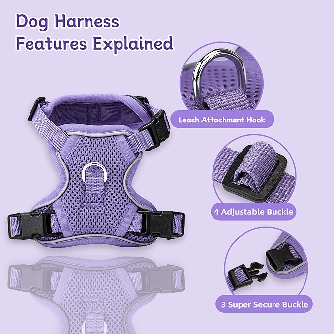 Small Dog Harness and Leash Set, Reflective Soft Breathable Mesh Vest, 3 Buckles, Adjustable Neck and Chest,Step in Dog Harness for Walking, Running, Training, Purple, XS