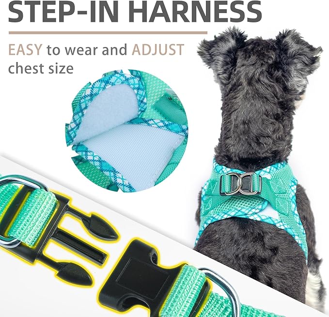 PUPTECK Dog Harness and Leash Set for Small Medium Dogs No Pull Step-in Soft Mesh Puppy Cat Vest Harnesses Reflective at Night, Green M