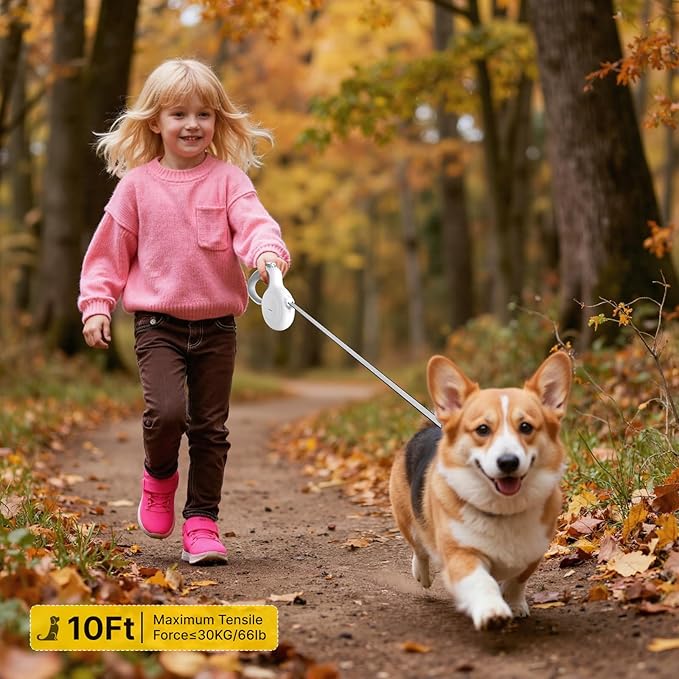 AutoBrake Retractable Dog Leash for Small and Medium Dogs, 360° Tangle-Free Dog Leash and 10Ft Strong Nylon Tape, Ergonomically Comfortable and Lightweight Grip Handle (White)