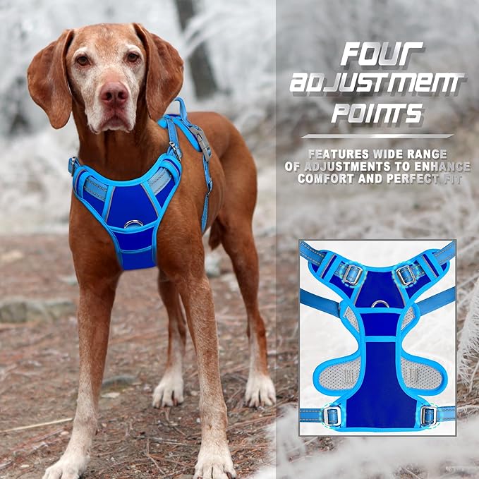 BARKBAY No Pull Dog Harness Front Clip Heavy Duty Reflective Easy Control Handle for Large Dog Walking(Sapphire Blue & Blue,XL)