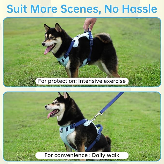 No Pull Dog Harness Leash and Collar Set, Soft Adjustable Dogs Vest Reflective and Comfortable Handle Blue Small
