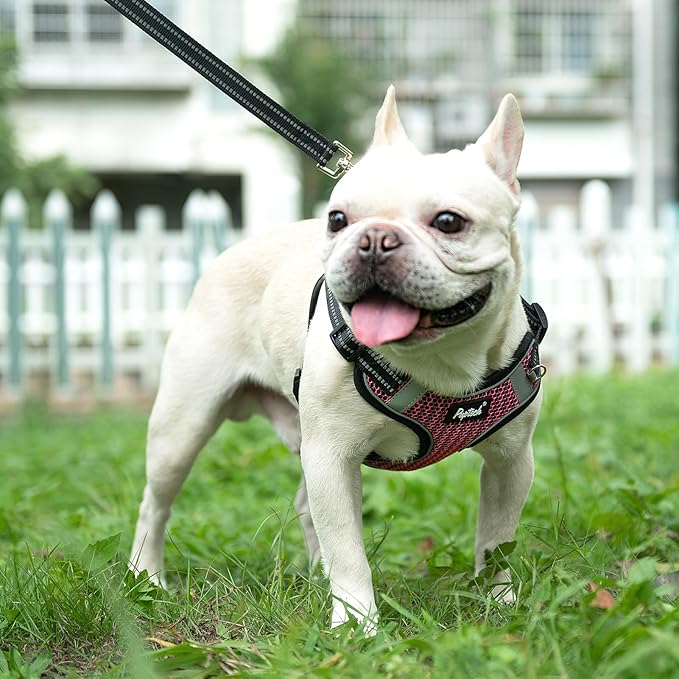 PUPTECK Dog Harness and Leash Set Small Sized, Step in No Pull Adjustable Puppy Cat Harness Reflective Pet Vest