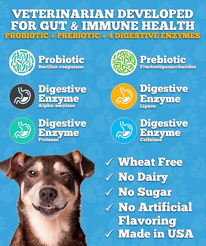 Probiotics for Dogs, Dog Probiotics, Made in USA, Vet Developed for Gut Health, Yeast Balance, Itchy Skin, Diarrhea & Gas Relief, Chews with Prebiotic & Digestive Enzymes, Digestive Support