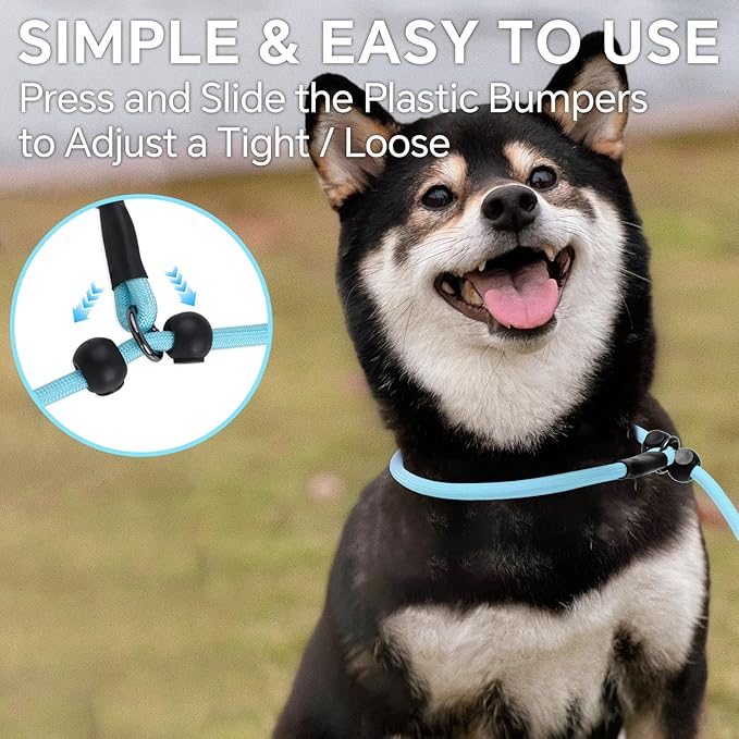 QQPETS Adjustable Slip Lead Dog Leash, Hands Free Waist Leash for Dog Walking, Reflective Training Lead with 360° Swivel Anti-Tangle, 4-7 ft Length for All Breeds