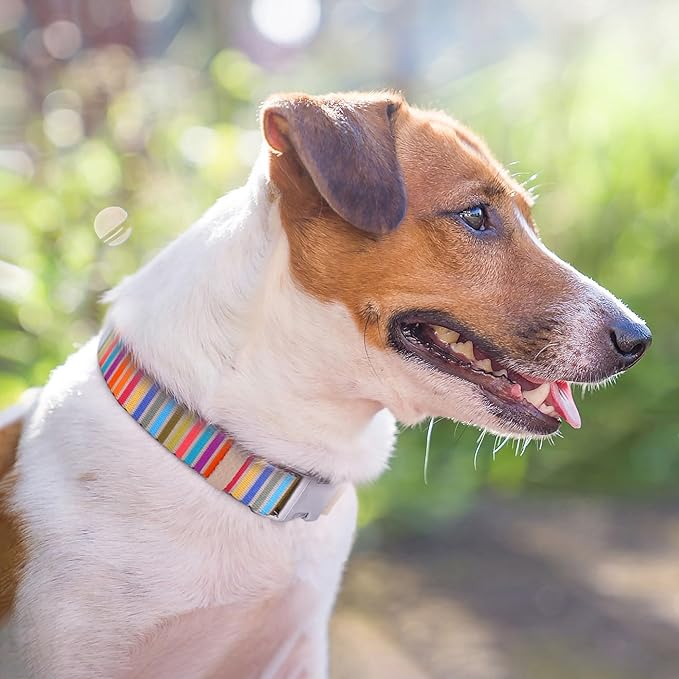 AirTag Dog Collar for Small Medium Large Breed - Adjustable Cute Pattern Dog Collar with Airtag Holder - Soft Leather Tracker GPS Apple Air Tag Pet Collars (X-Large, 20"-25" Neck Fit, Serape)