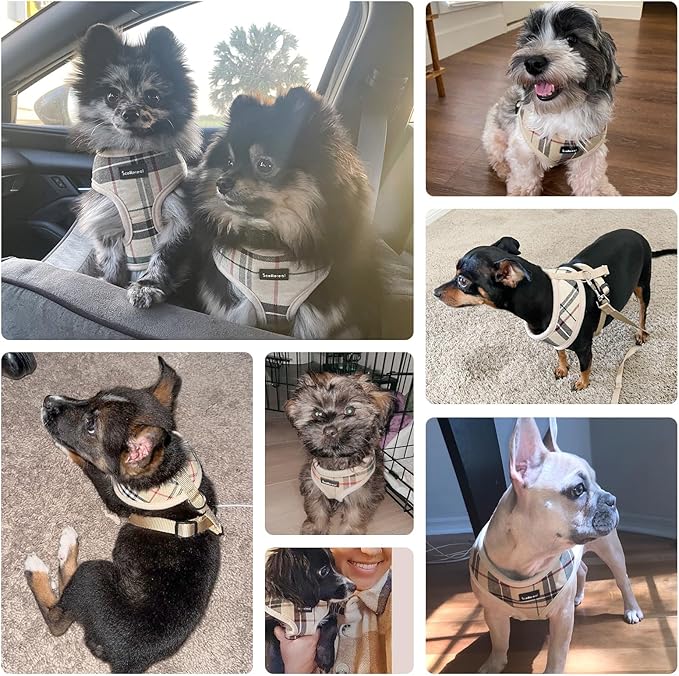 SCENEREAL Puppy Dog Harness with Leash Set for Small Medium Sized Dogs, Soft Mesh Step in Pet Harnesses and Leash, No Chock Plaid Adjustable No Pull Vest for Dogs Cats, Chihuahua,Bulldog (Beige M)