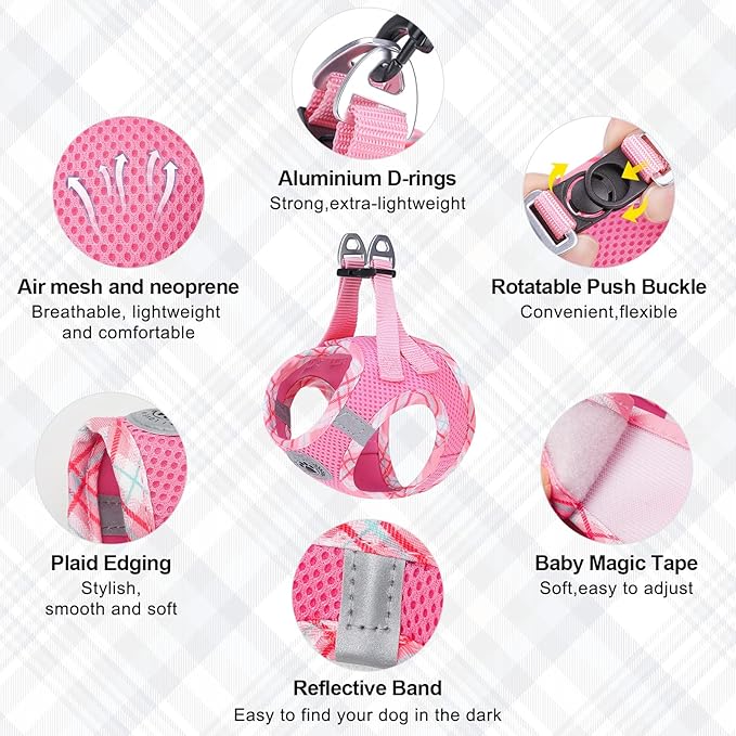 BEAUTYZOO Dog Harness and Leash Set for Small Medium Dogs,No Pull Step-in Harness for Puppy S M Sized Dogs and Cats,Air Mesh Adjustable Breathable Soft No Choke Escape Proof Vest Harnesses,Pink XXS