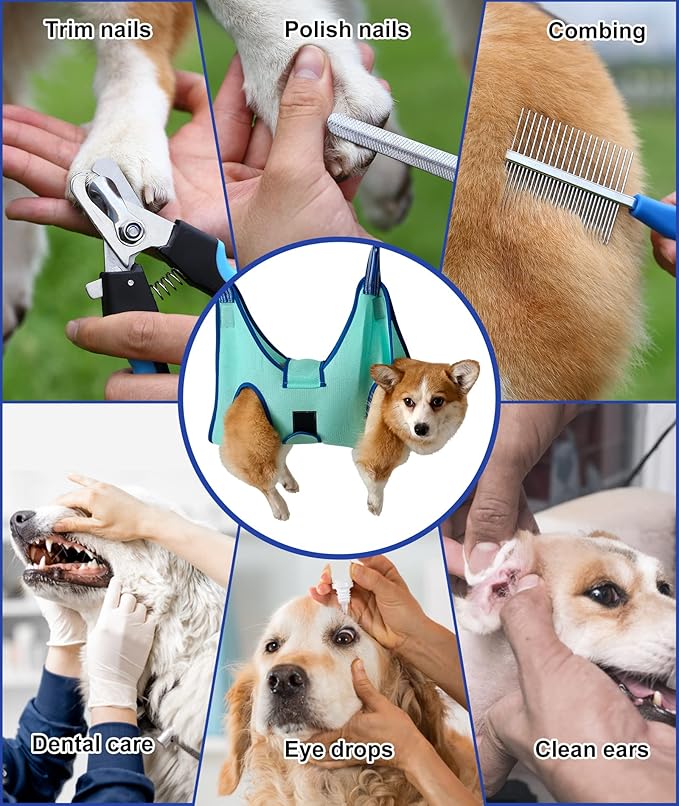 Dog Grooming Hammock Harness, Hanging Harness Holder for Nail Clipping, Nail Trimming Hammock with Wide Strap, Grooming Sling Hanger Restraint Bag for Claw Care (XX-Large 65 LB Max/Turquoise)