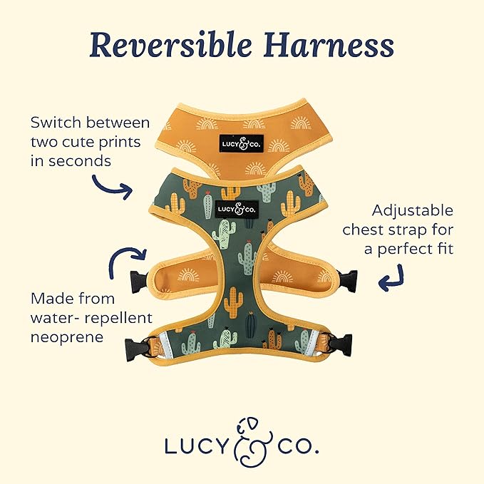 Lucy & Co. Looking Sharp, Cute Reversible Dog Harness Walking Halter - Best Designer Pet Harnesses for Medium Dogs - Padded Adjustable Vest for Easy Walking (Small)