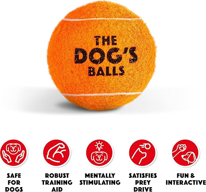 The Dog's Balls, Dog Tennis Ball, Orange 12-Pack,Strong Toy for Agility Training, Puppy Training, Play, Exercise & Fetch, 2.5 Inch Diameter
