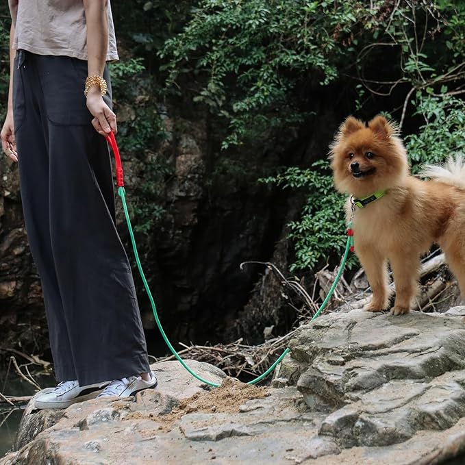 2 Pack Rope Dog Leash, 4.5 ft Lightweight Premium Rope Leash with Comfortable Padded Handle, Reflective Dog Leashes for Small and Medium Dogs, Kid-Friendly Family Set