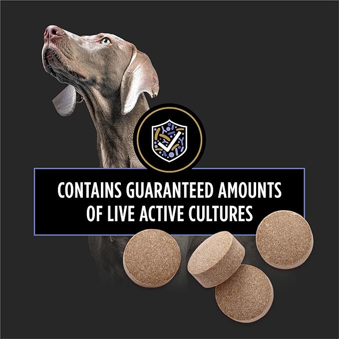 Purina Pro Plan Veterinary Supplements FortiFlora Probiotics for Dogs Chewable Tablets for Digestive Gut Health and Diarrhea - 90 ct. Canister