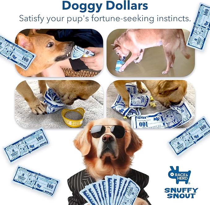 Race&Herd Dog Puzzle Toy - Snuffle Mat for Dogs Puzzle Feeder, Dog Enrichment Toys for Dogs, Interactive Pet Enrichment Toys Small Dogs, Puppy Mental Stimulation Puzzle Toy, Snuffle Money for Puppies