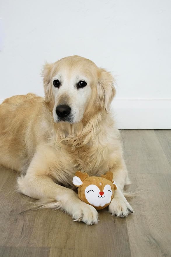 Flourish Pets 2 in 1 Small Prancer Christmas Multi-Layer Chew Toy for Active Dogs | Non-Toxic BPA Free Double Stitched Soft Fabric and Long-Lasting Dog Plush Toys (Reindeer Prancer 3.5")