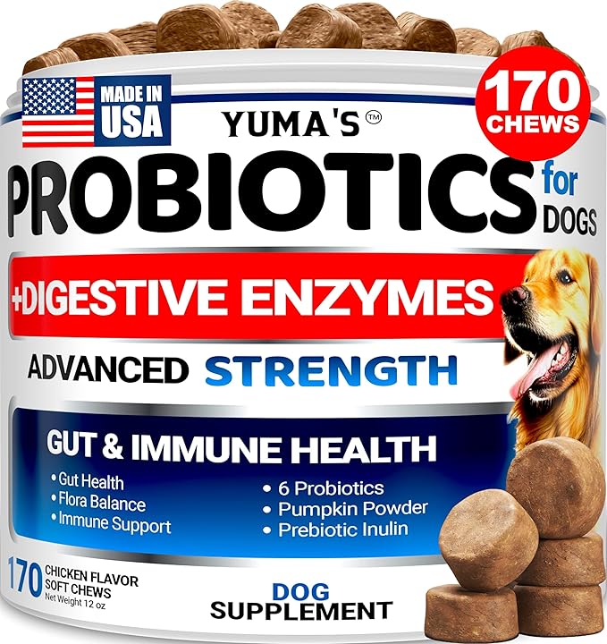Probiotics for Dogs and Digestive Enzymes - 170 Dog Probiotics Chews - Dog Probiotic - Anti Diarrhea, Upset Stomach & Gas Relief, Constipation, Canine Prebiotic - Pet Fiber Supplement - Gut Health