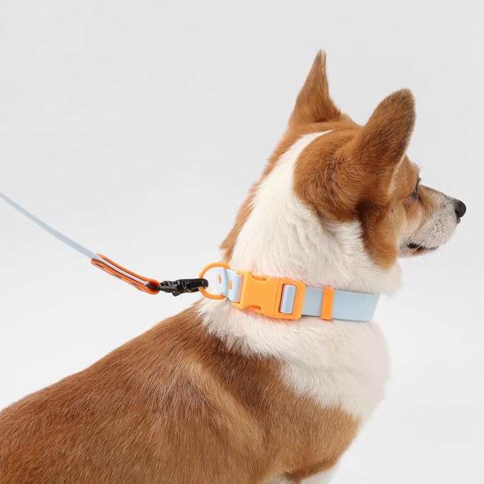 WLK1005D-5SET Luna Medium 8FT Adjustable 6-in-1 Waterproof Hands-Free Leash and Collar with LED Flashlight, Bag Dispenser, and Poop Bag Holder, Fishbowl