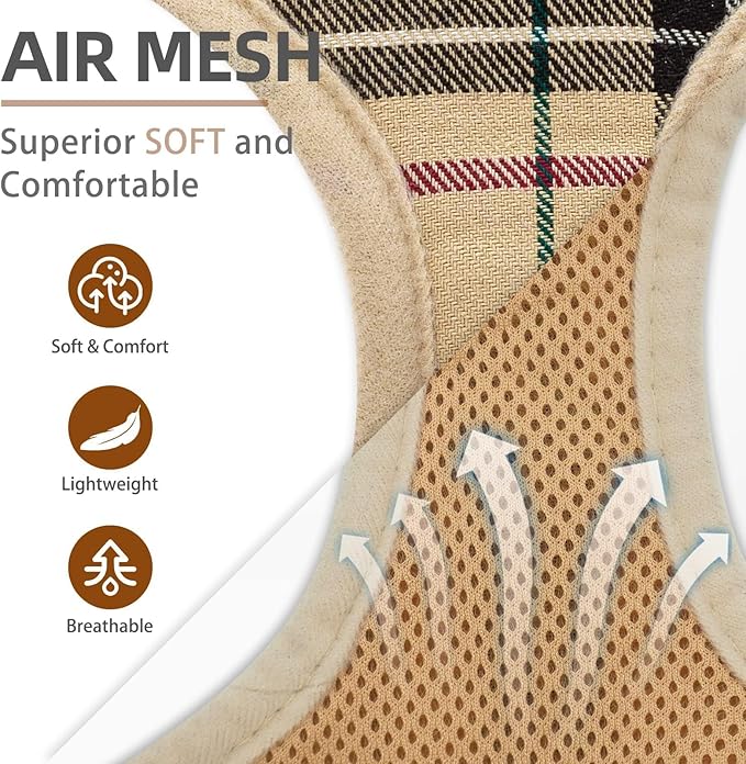 PUPTECK Soft Mesh Dog Harness Small Sized and Leash Set Pet Puppy Cat Comfort Padded Vest No Pull Harnesses, Beige, S