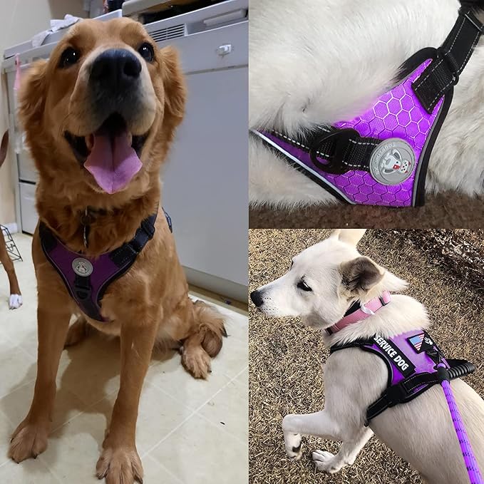 Cymiler Service Dog Vest,No-Pull Dog Harness and Leash Set,Adjustable Oxford Reflective Service Dog Vest Harness with Handle for Outdoor Walking Training,Easy Control for Small Medium Large Dogs