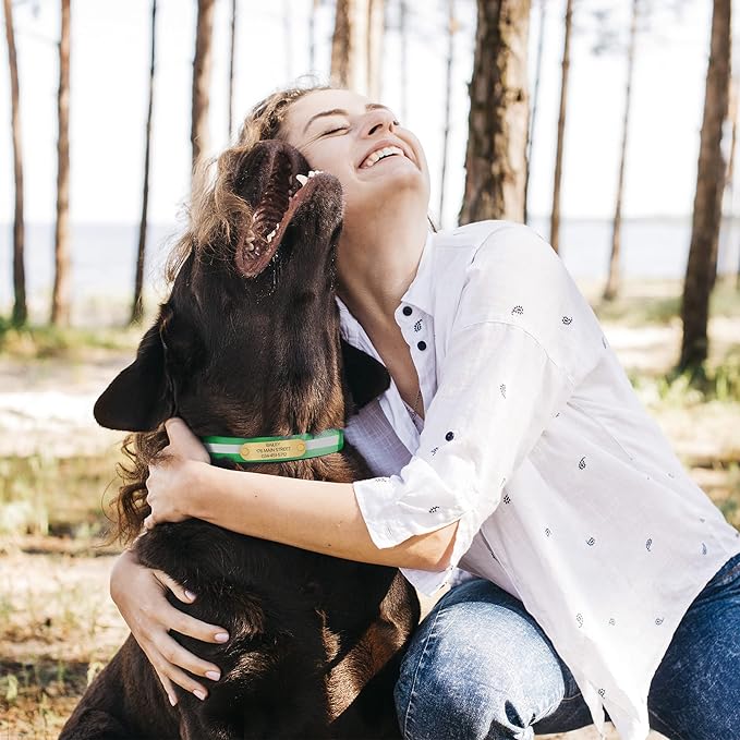 Regal Dog Products Medium Lime Green with Custom Engraved Reflective Dog Collar and Leash Set | Waterproof Dog Collar with D Ring | Center Ring & 5'ft Leash | Matching Dog Collar and Leash for Dogs