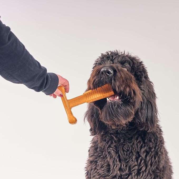 SPOT Bam-Bones Plus T Bone - Bamboo Fiber & Nylon, Durable Long Lasting Dog Chew for Aggressive Chewers – Toy for Dogs & Puppies Under 90lbs, Non-Splintering, 7in, Allergen Free Peanut Butter Flavor