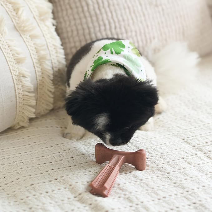 SPOT Bam-Bones Plus T Bone – Bamboo Fiber & Nylon Dog Chew Toy for Moderate to Aggressive Chewers, Durable & Non-Splintering, Long Lasting Beef Flavor Toy for Dogs & Puppies Under 30 lbs, 4 in