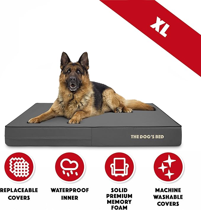 The Dog’s Bed Orthopedic Memory Foam Dog Bed, XL Grey & Black, Waterproof, Supportive Dog Bed with Replaceable Covers, Veterinary Approved
