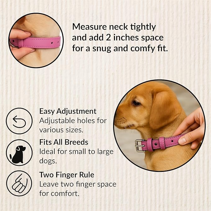 Custom Name Dog Collar – Personalized Engraved Vegan Leather with Name & Phone, Adjustable Soft Padded Pet Collar with Stainless Steel Buckle (Sizes S-XL)